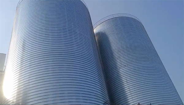 宕昌2座混凝土高架卷板仓